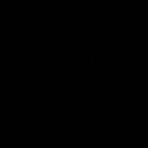 Meet your Posher, Isabelle